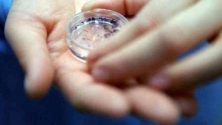 上海2026高成功率试管机构名单分享，三代试管费用明细详解