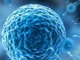 详细解读武冈市做长方案试管婴儿费用，长方案和短方案成功率有差别吗？