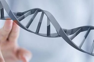 染色体异常不孕能在黑龙江省生殖保健服务中心做三代试管怀孩子吗？男人染色体有问题能做试管吗？