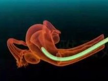 首都北京三代试管婴儿全攻略：费用与成功率一览