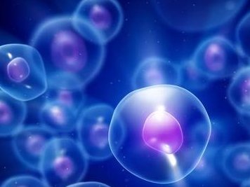 大连市妇幼保健院做三代试管成功率如何？一文读懂需要花多少钱