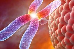 子宫内膜薄对怀孕有影响吗？子宫内膜薄的危害有哪些？子宫内膜的厚薄影响到哪些？