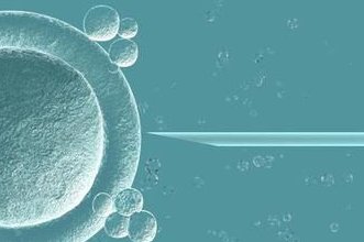 郑州大学第二附属医院洗精费用多少钱？试管婴儿移植成功后检查流程有哪些？